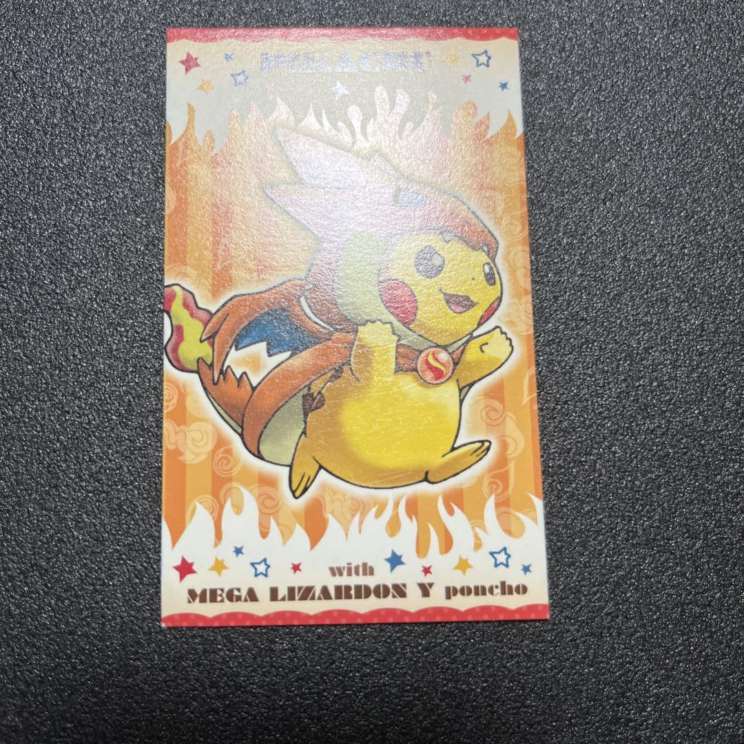 ② メガリザードンYのポンチョを着たピカチュウ