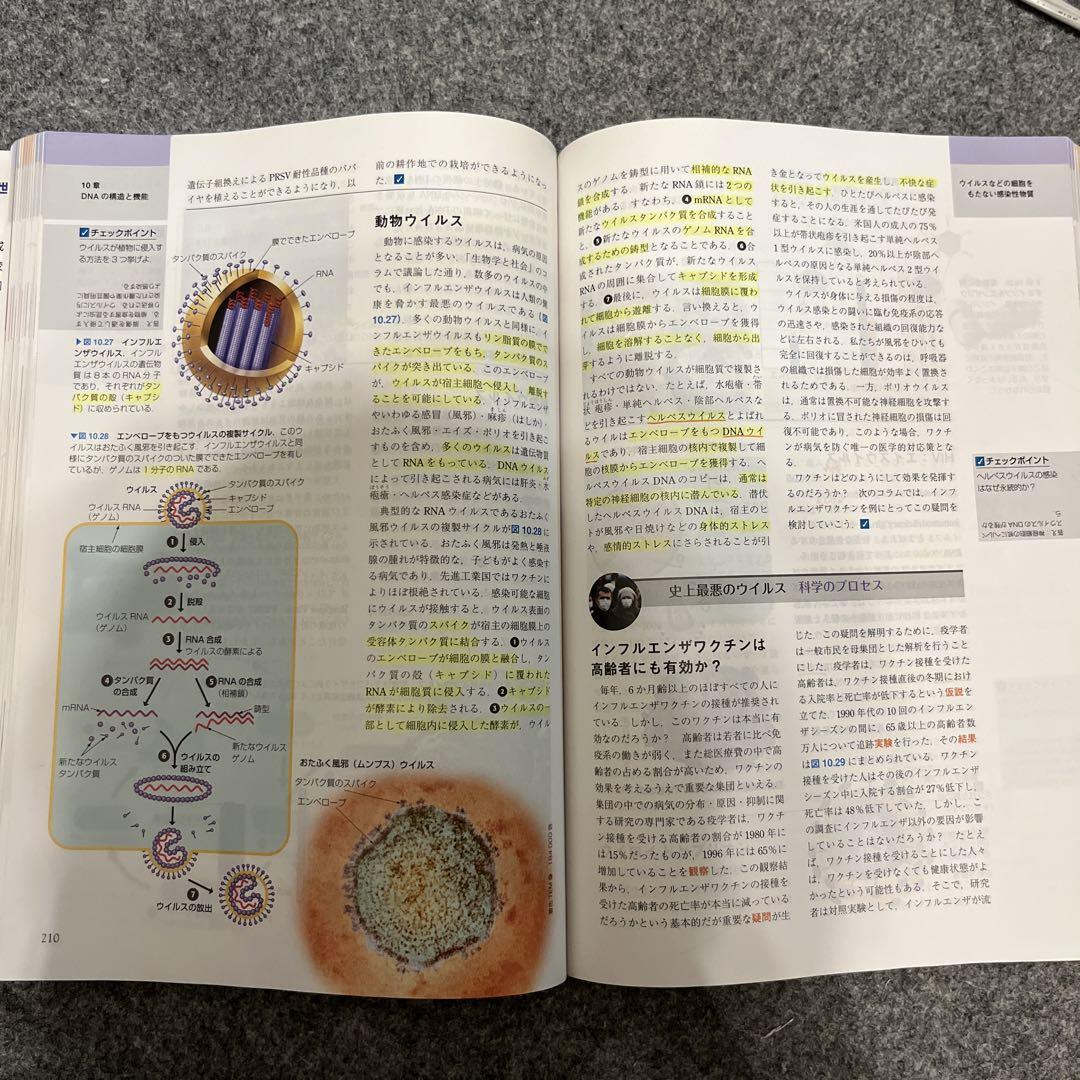 エッセンシャル キャンベル生物学 原書6版 - メルカリ