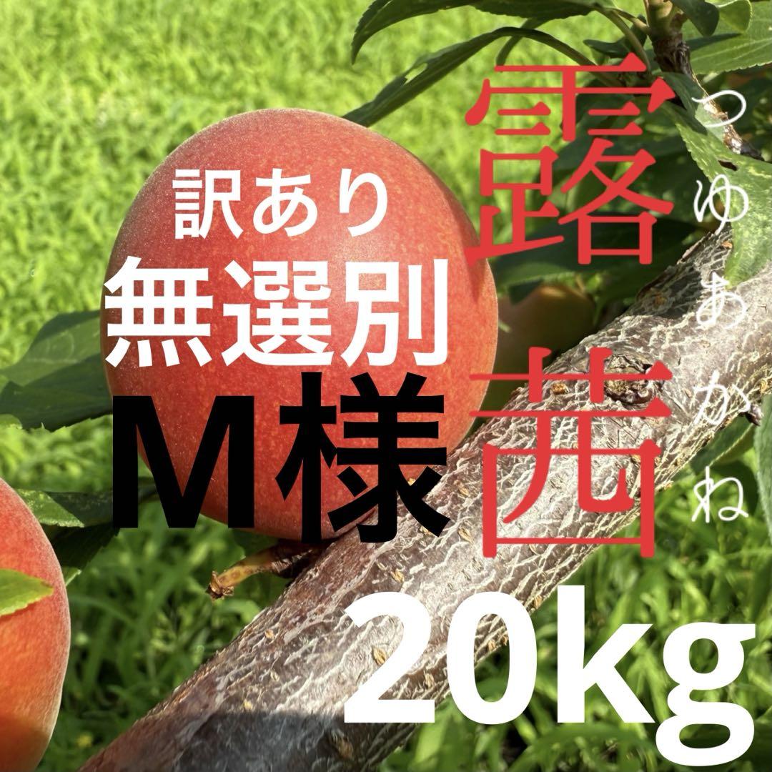 36 M様　露茜　無選別　20キロ