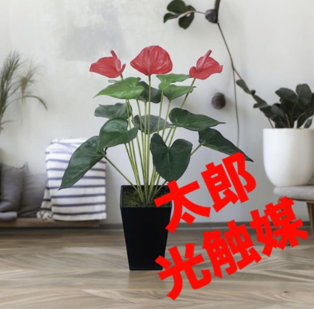 光触媒　人工観葉植物　ウォールグリーン　アンスリューム　高さ53センチ