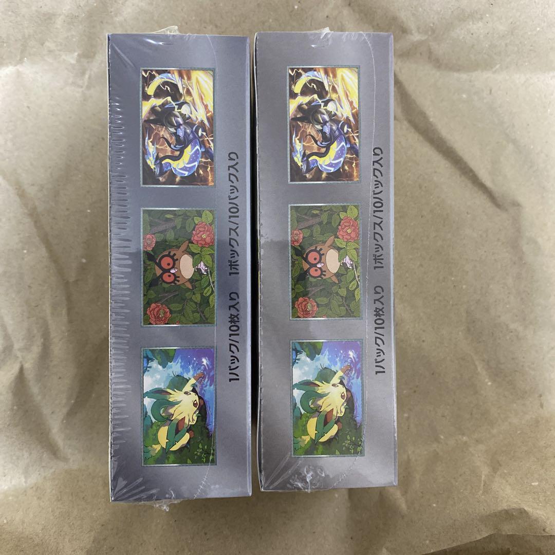 ポケモンカードゲーム テラスタルフェスex 2BOX シュリンク付き
