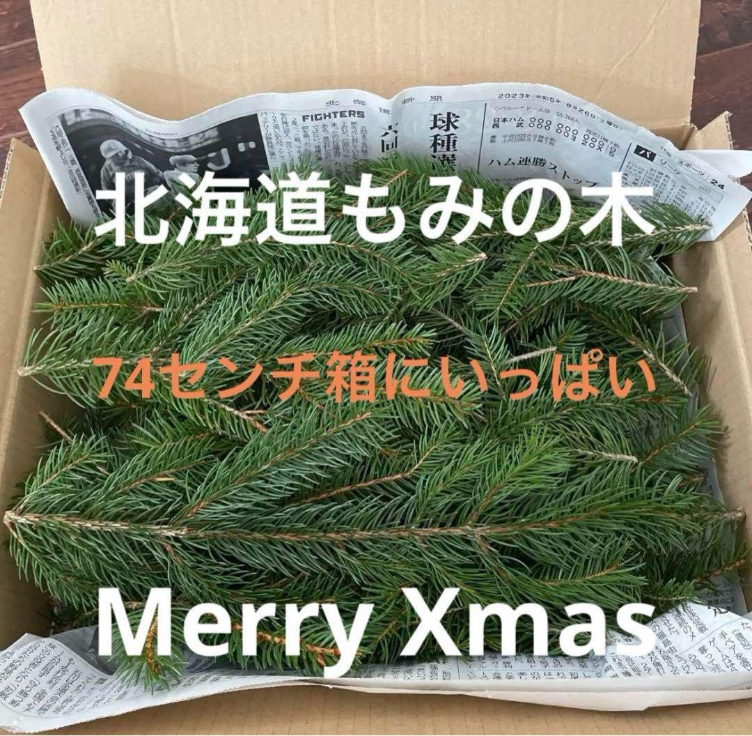 北海道もみの木 リース用カット枝 74センチ箱にいっぱい 針葉樹