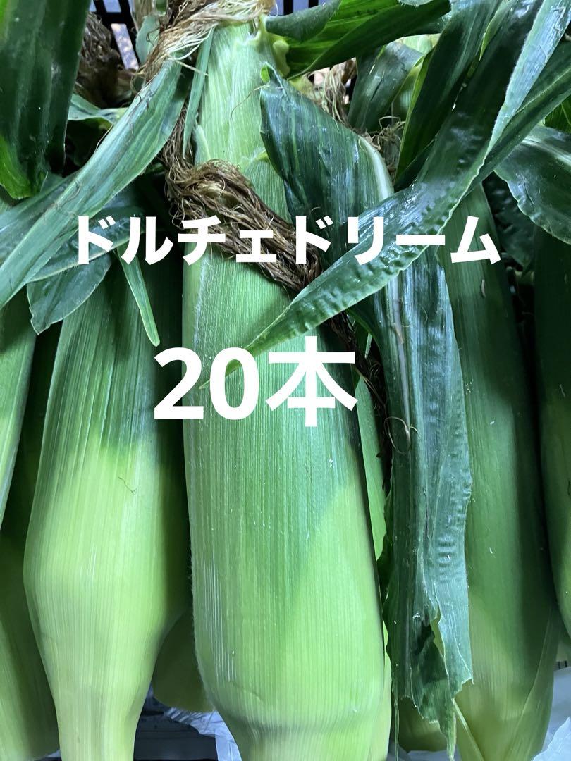 ドルチェドリーム　20本