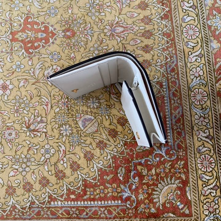 新入荷!!【日本未発売】 【新品】グッチGGキャンバス　2つ折り財布　アップル　りんご 【TMF2070832005】(19500円)