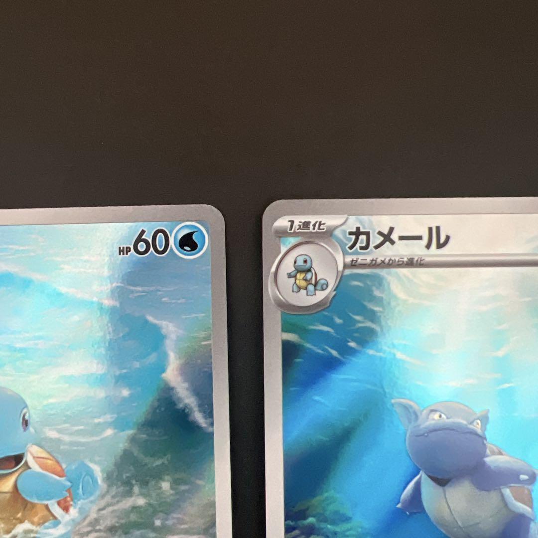 ゼニガメ　カメール　カメックス　AR SAR