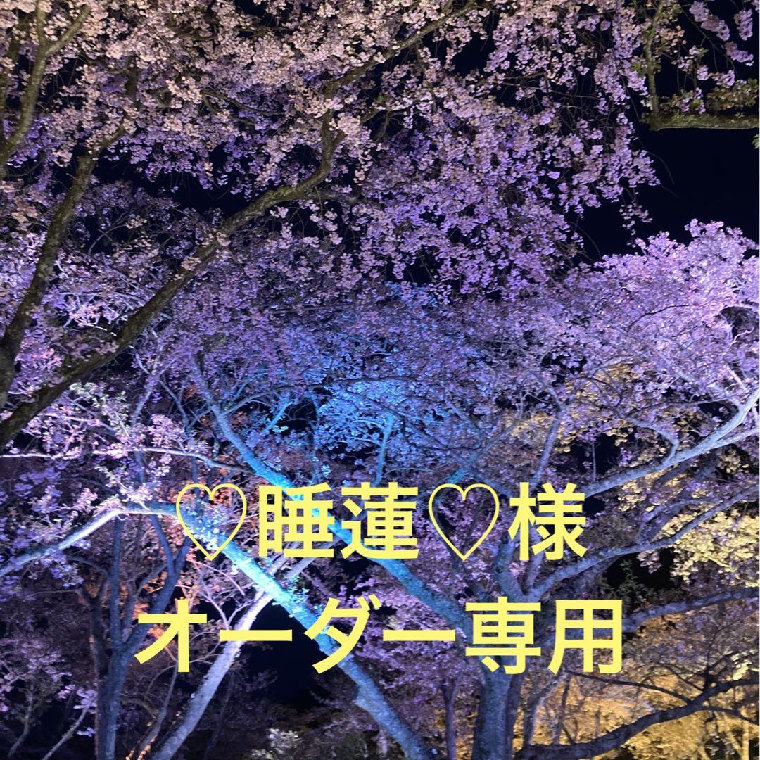 睡蓮様オーダー専用ページ