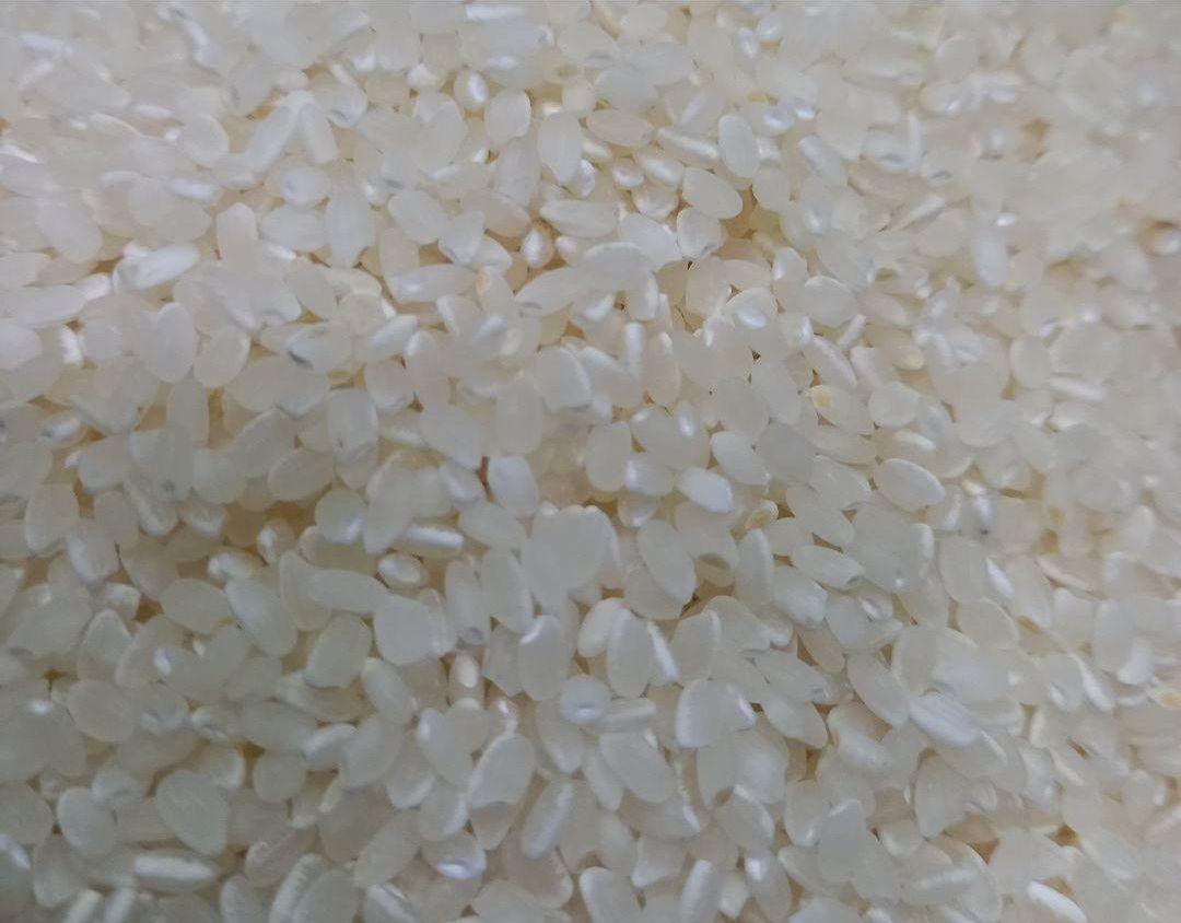 令和6年 茨城県産 コシヒカリ　精米25kg
