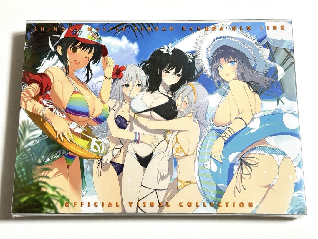シノビマスター 閃乱カグラ 閃乱カグラTEN ビジュアルコレクション 新品