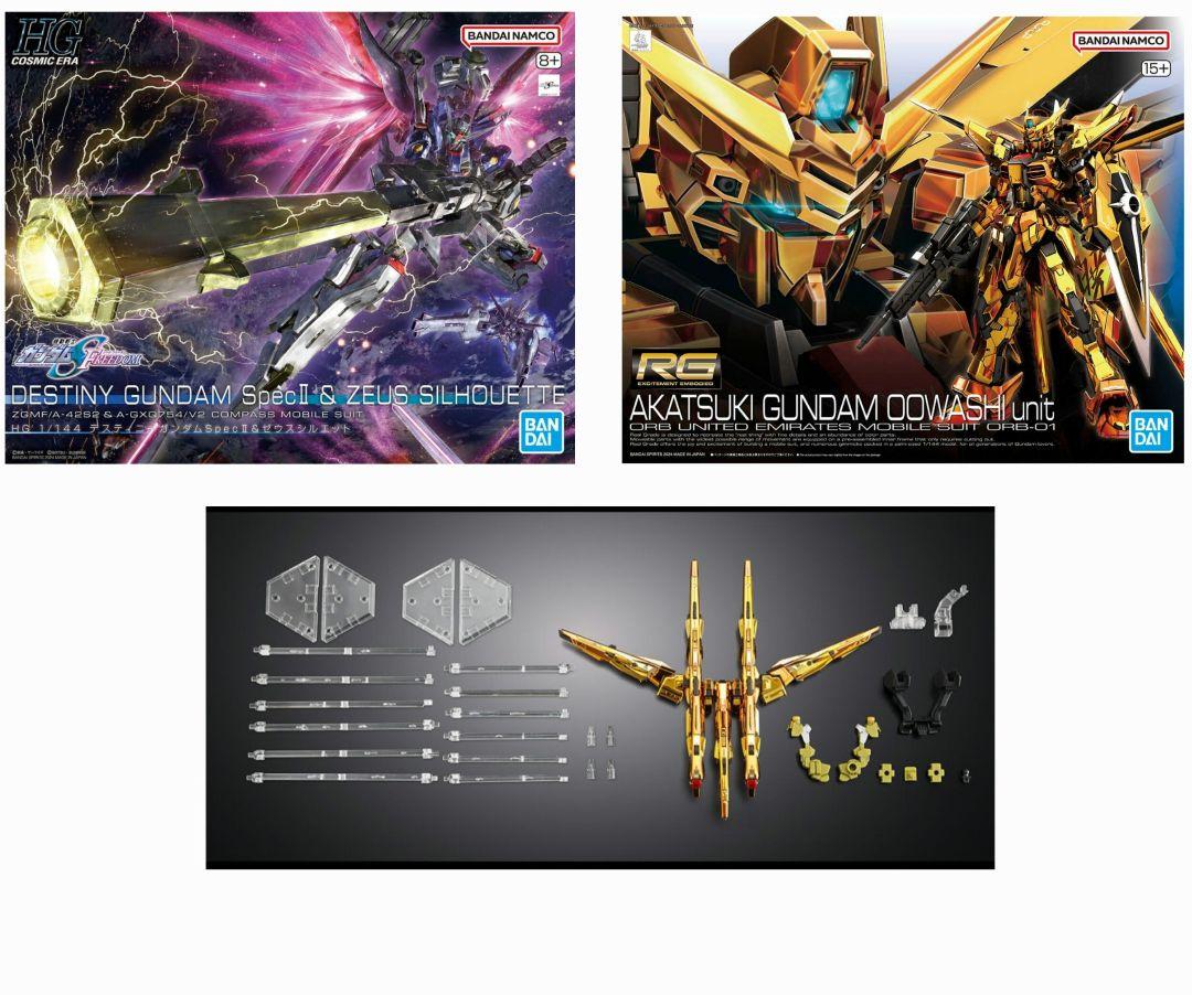 新品② HG 1/144 デスティニーガンダムSpecII&ゼウスシルエット