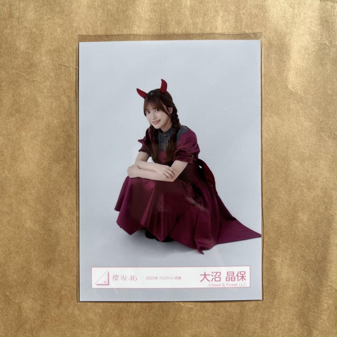 櫻坂46 大沼晶保2022年クリスマスサンタ衣装直筆サイン生写真