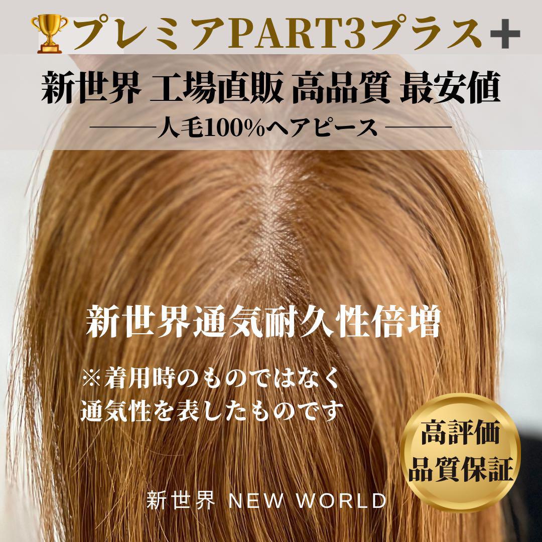 新世界　高級レミー100%　ウィッグ　ヘアピース　シルクスキン　部分ウィッグ 新世界高級レミー100%ウィッグヘアピースシルクスキン部分ウィッグ