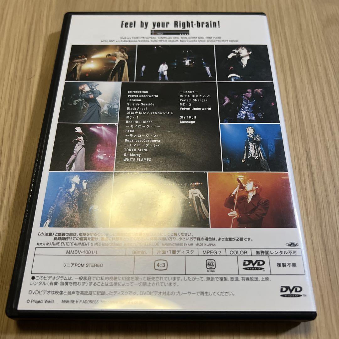 ヴァイスクロイツ LIVE DVD Gluhen WeiB kreuz