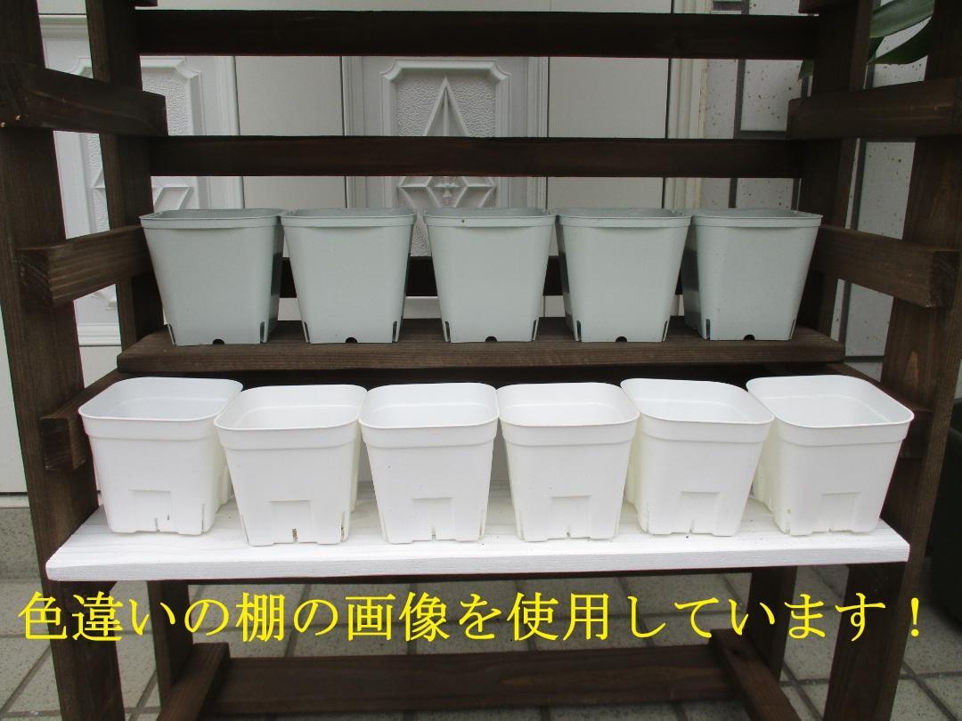 8段調整可能 ひな壇 多肉棚 木製プランター 多肉植物棚 韓国苗