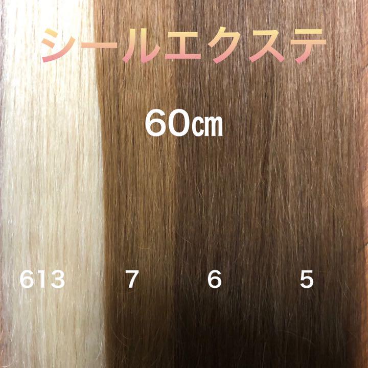 シールエクステ 60 メッシュエクステ