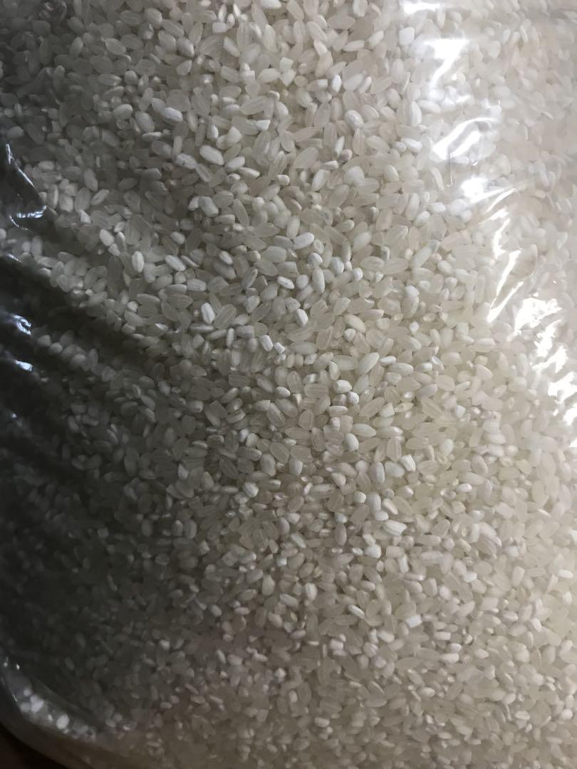 【リピーター様多数】コスパ米20kg(5kg×4袋)お米　白米【令和6年新米入】
