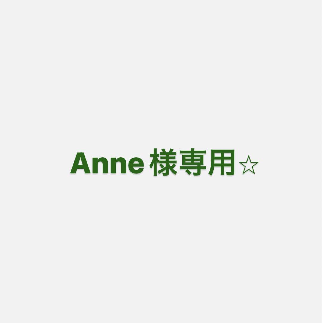 anne様専用 - dev.alghost.com クーポンで半額 Anne様専用 アイドル