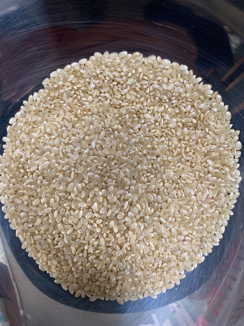 長野県産R6年度コシヒカリ 玄米15kg