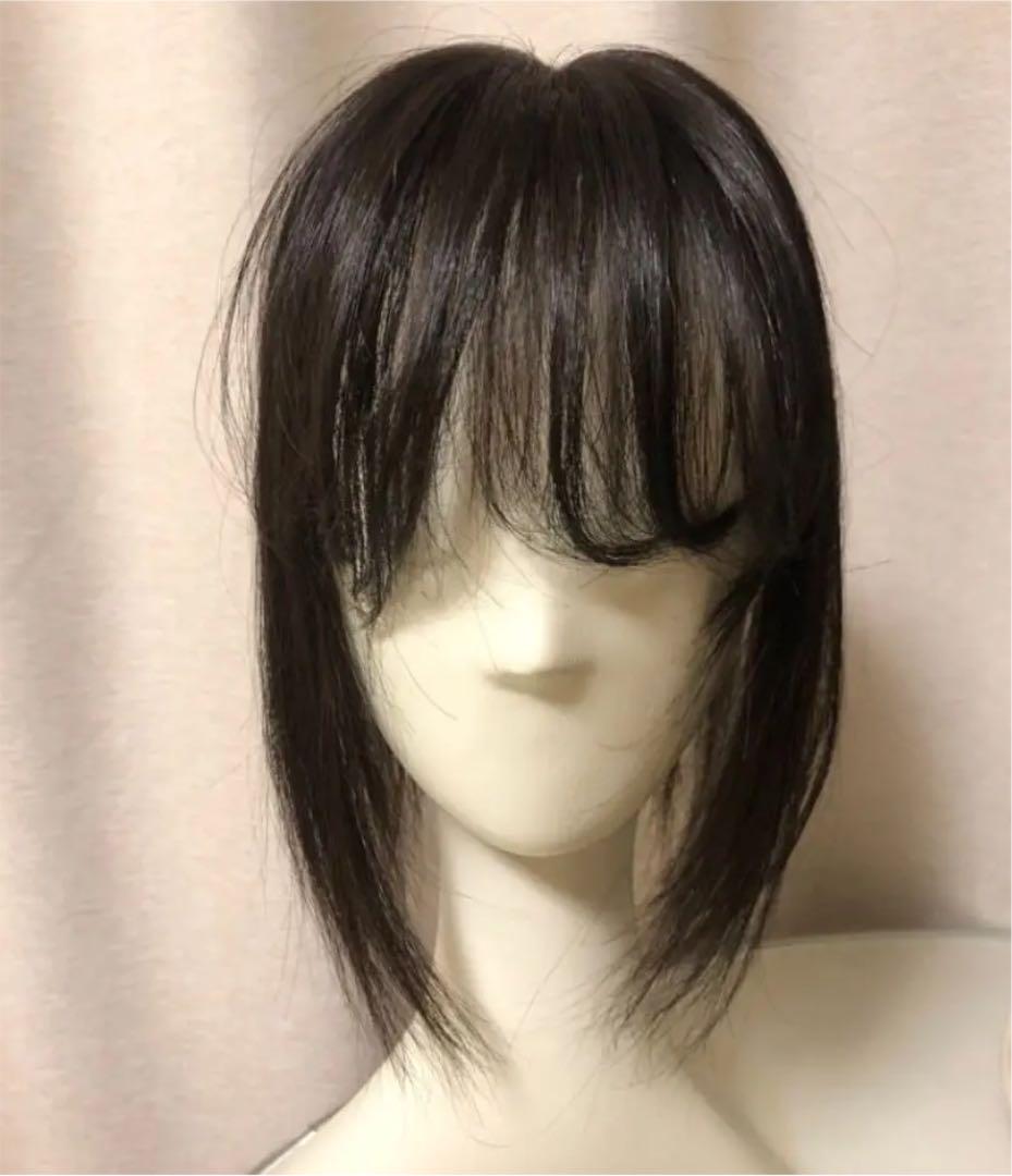 値下げ】 ✨人毛100%✨27cm 自然な前髪生え際 薄毛対策 【ナチュラル ...