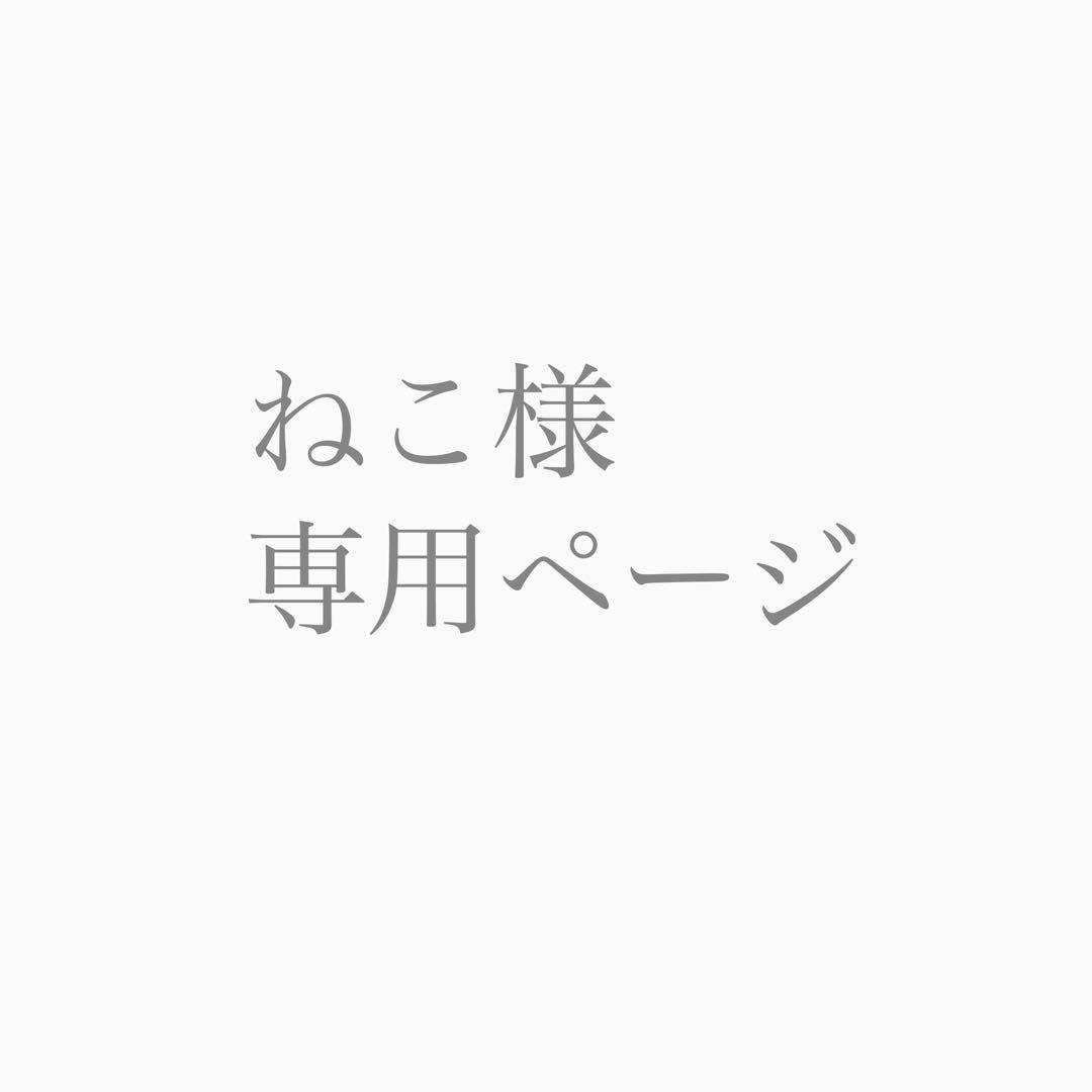 専用ページ