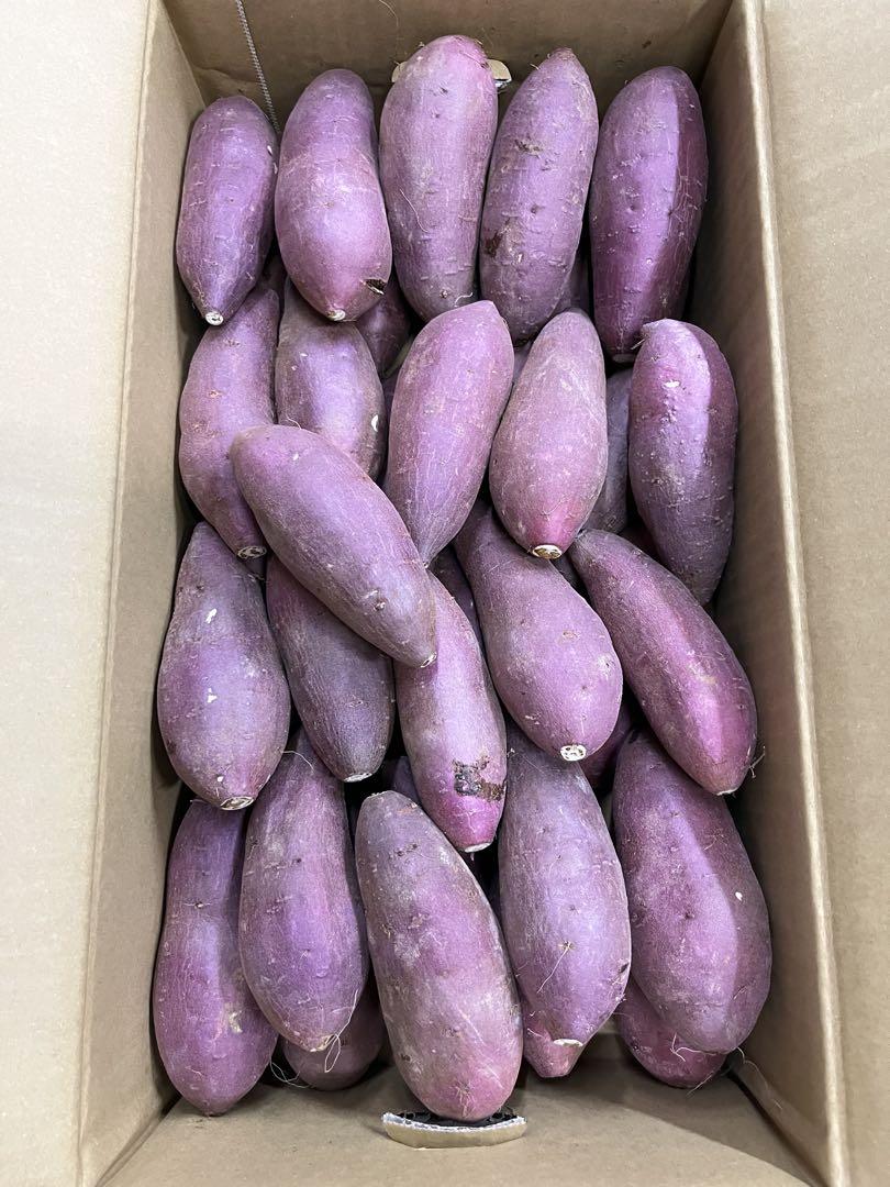 大分県産 甘太くんA品Mサイズ10キロ