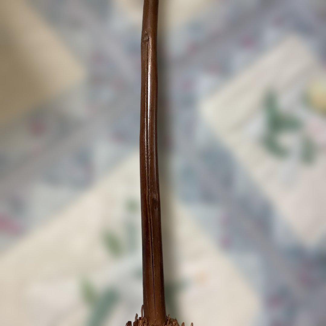 ハリーポッター　魔法のホウキ