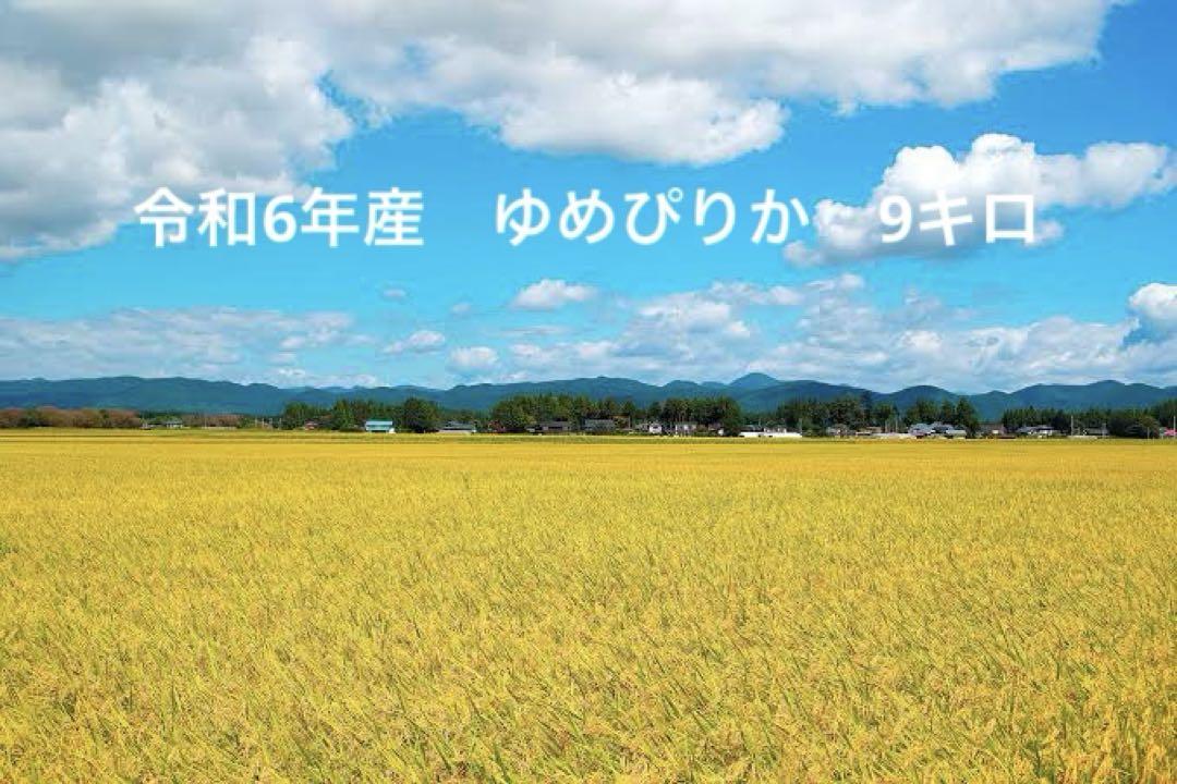 令和6年度産　ゆめぴりか　9キロ