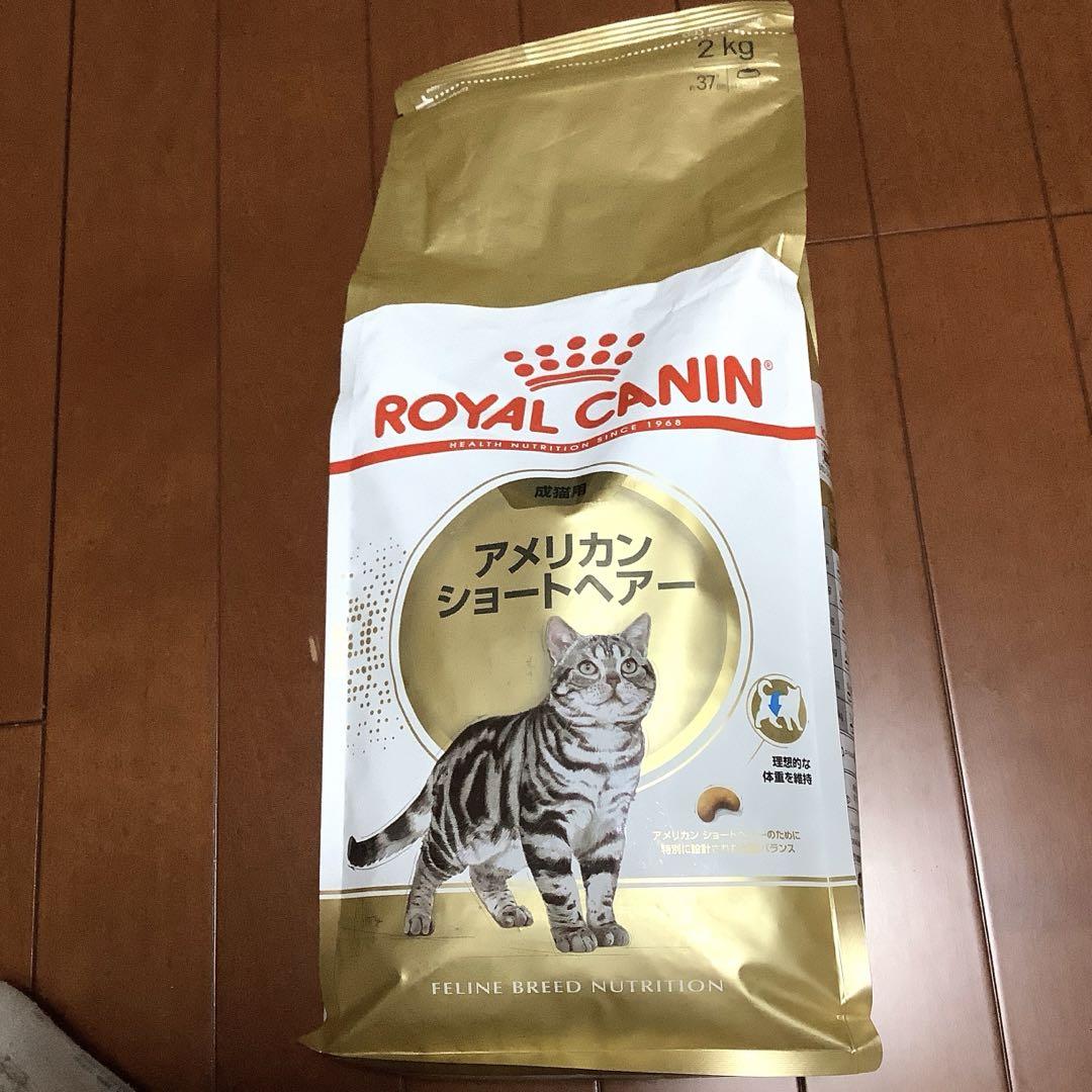 えりえり ロイヤルカナン アメリカンショートヘアー 2kg❌️3キャット ロイヤルカナン FBN アメリカン ショートヘアー 成猫用 生後12