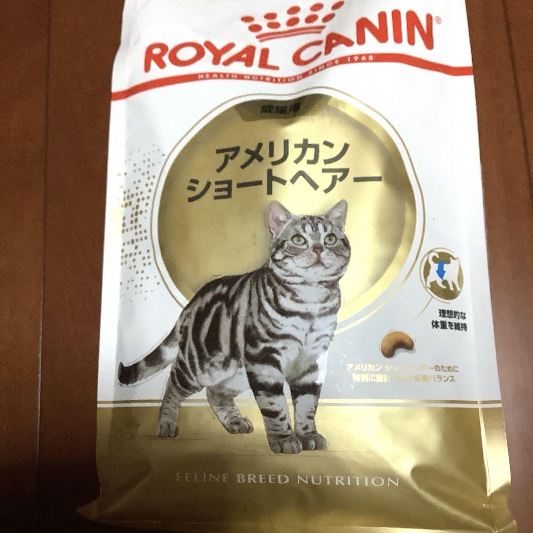 ロイヤルカナン　アメリカンショートヘアー2kg ３袋セット Amazon | ロイヤルカナン FBN アメリカンショートヘアー 成猫用