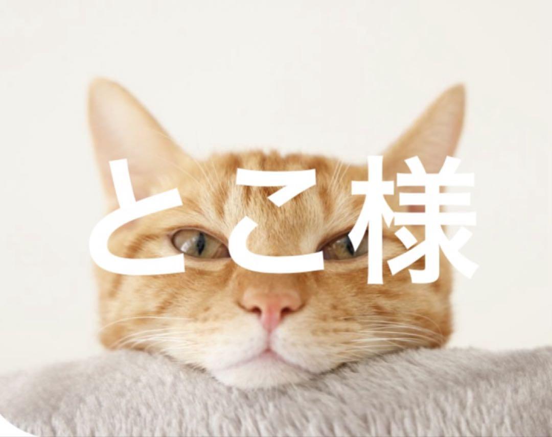 ハチワレ　茶トラ　ノーマル猫雑貨・オーナーズグッズ