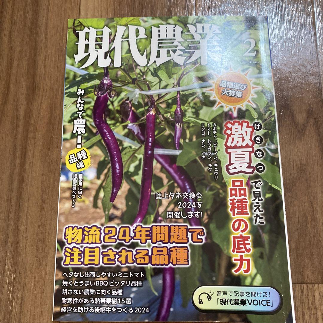現代農業 2024年2月号 - メルカリ