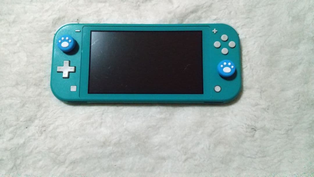 ジャンク 通電 Nintendo Switch Lite ターコイズ ジャンク 通電 Nintendo Switch Lite ターコイズ