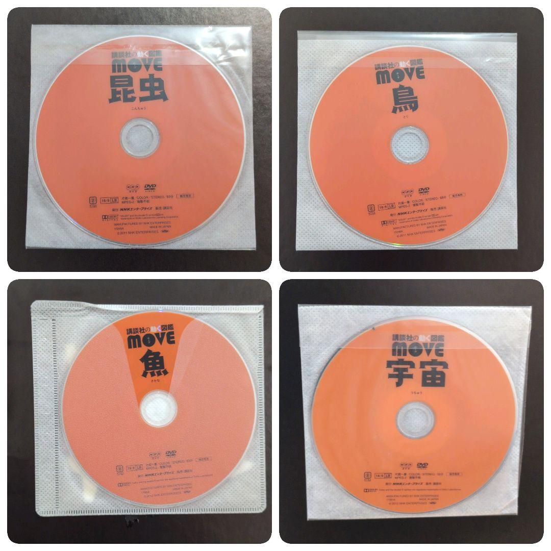 11枚