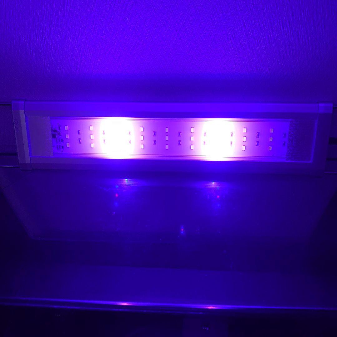 世界的に アーク500、LED、エアレーション、自動給餌器、お手入れ道具