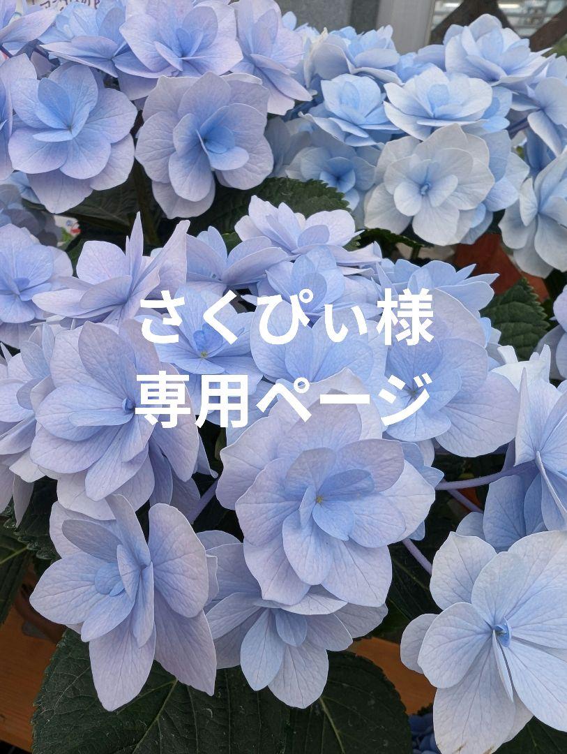 ラボット服　LOVOT　ハンドメイド　さくぴぃページ