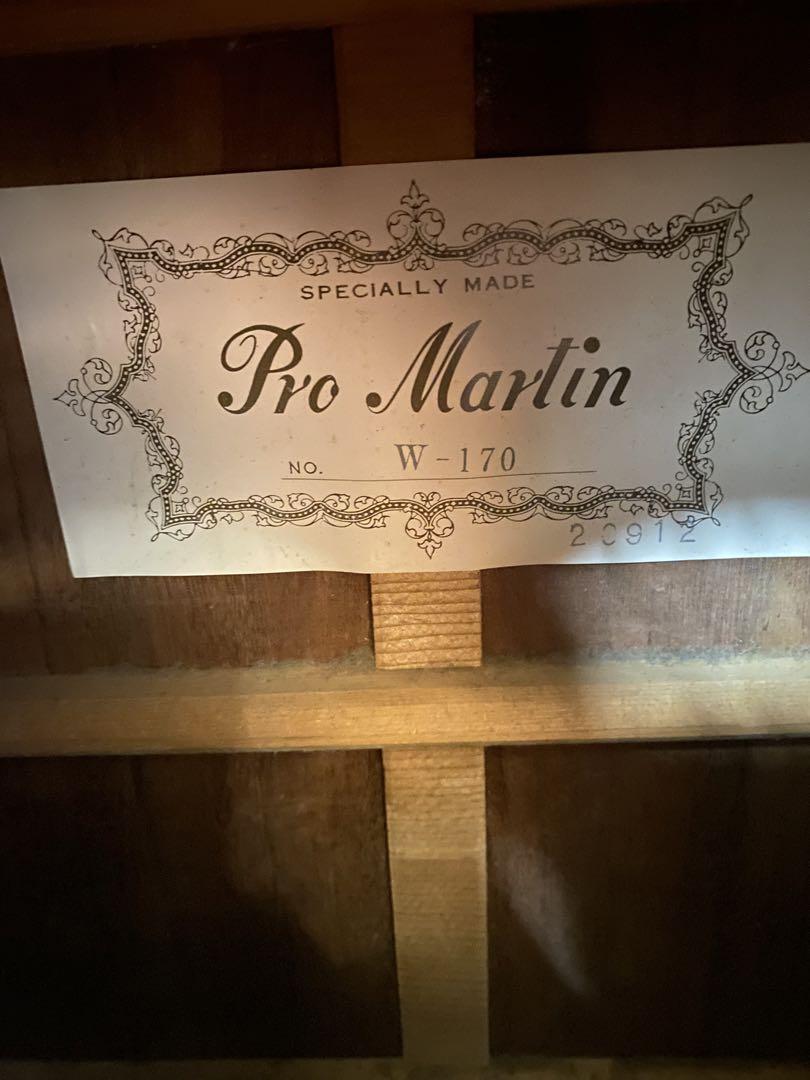 【鍵付きケース付き】Pro Martin プロ　マーティン　W-170 ギター