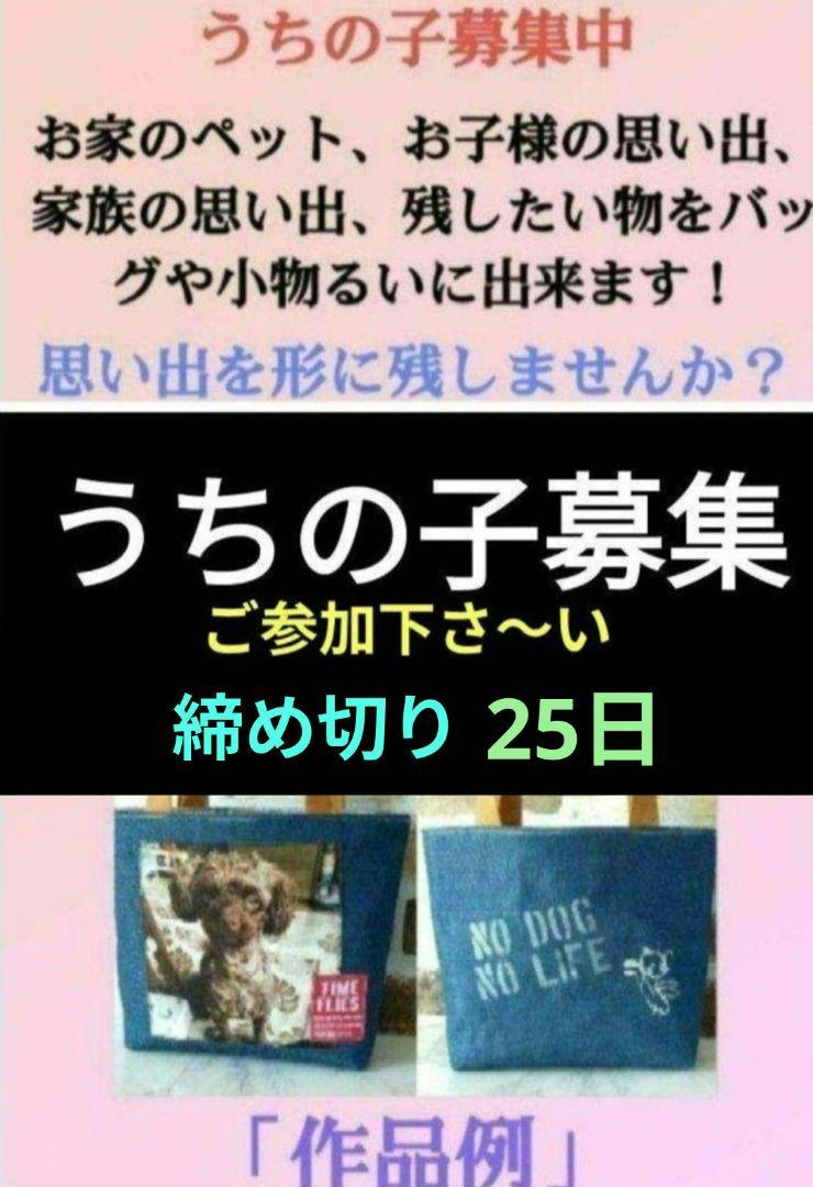 うちの子募集中　パネル生地　犬パネル　猫パネル　うちの子自慢