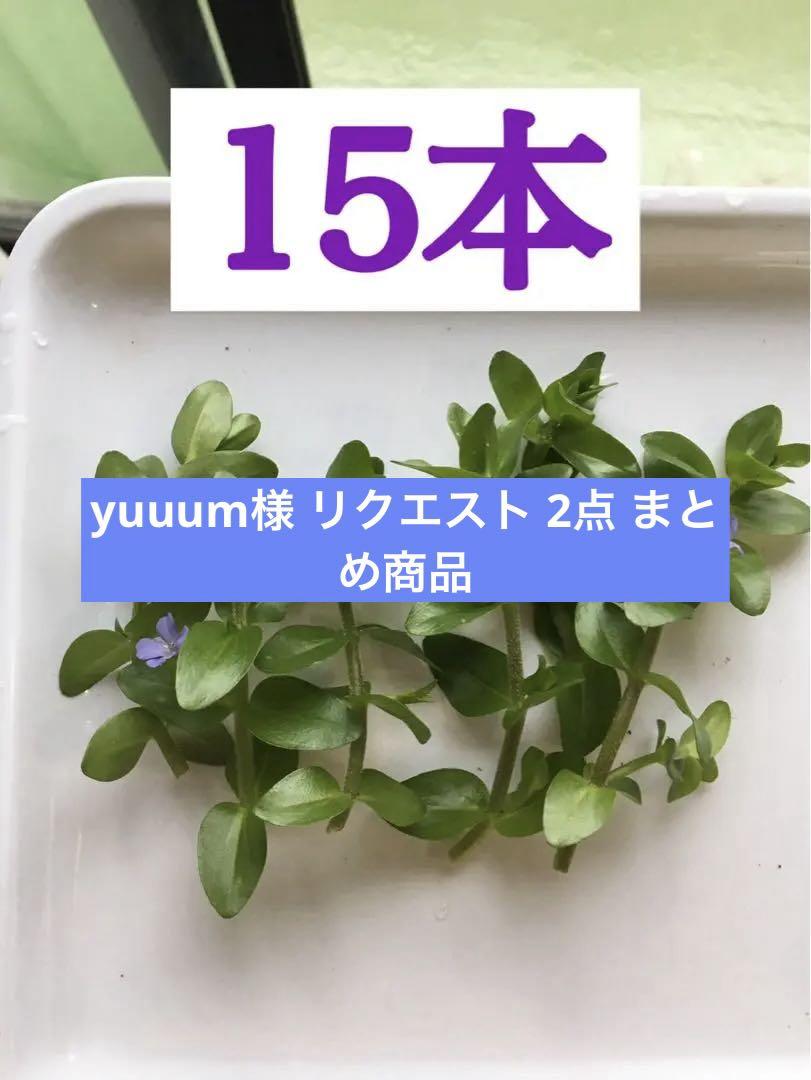 ROM様 リクエスト 5点 まとめ商品 Node0様 リクエスト 2点 まとめ商品