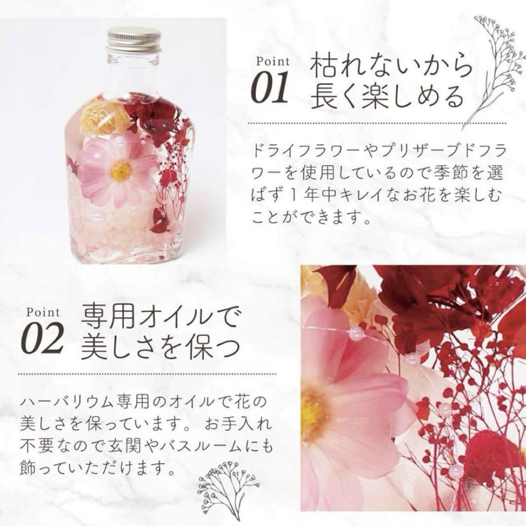 ピンク ドライフラワ