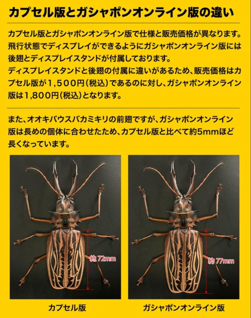 いきもの大図鑑アドバンス オオキバウスバカミキリとハンミョウ