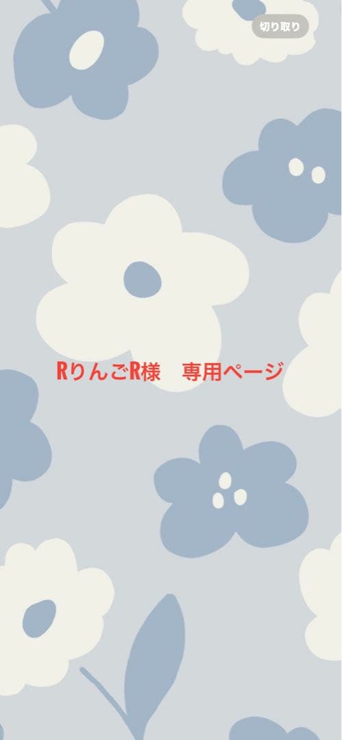 RりんごR様専用ページ