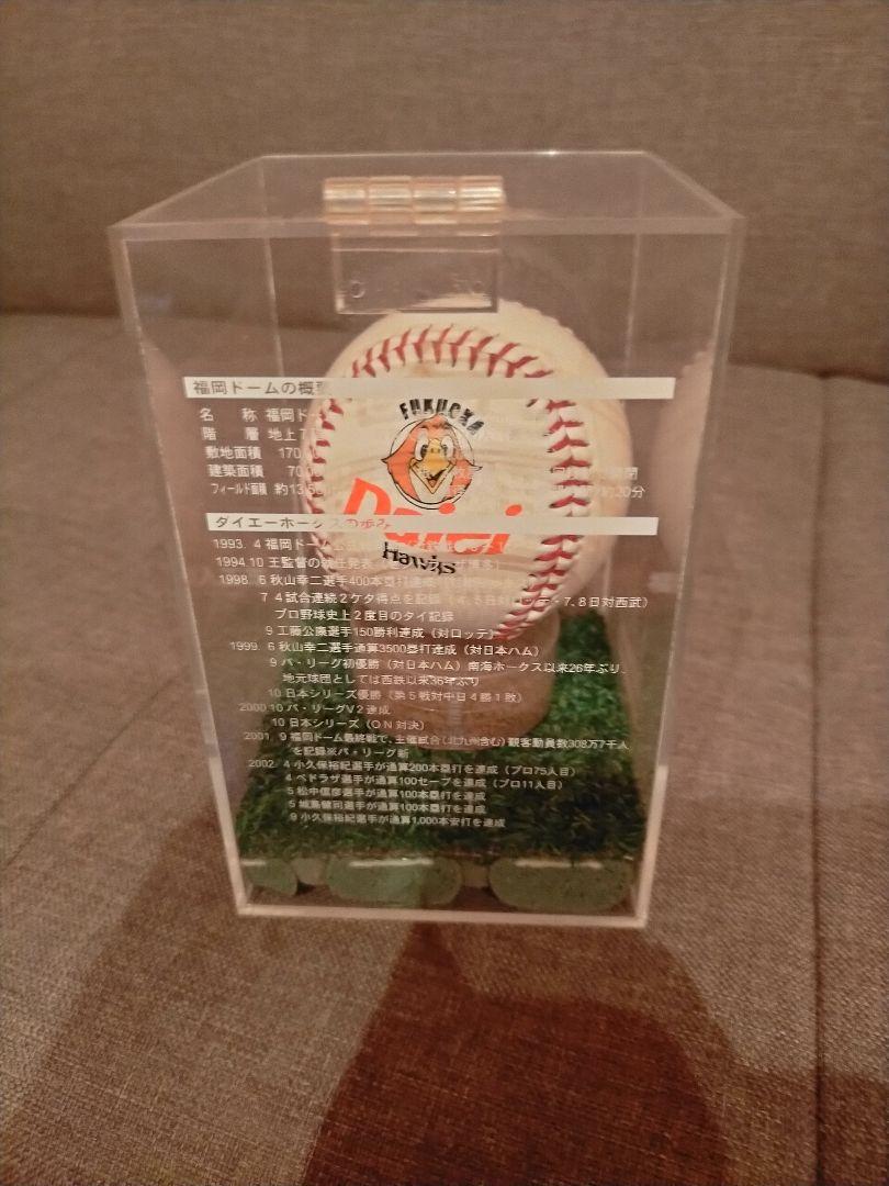 【貴重】福岡ドームの使用済み人工芝(1993年〜2002年の10年間使用) 福岡ダイエーホークス(ドーム人工芝) - メルカリ