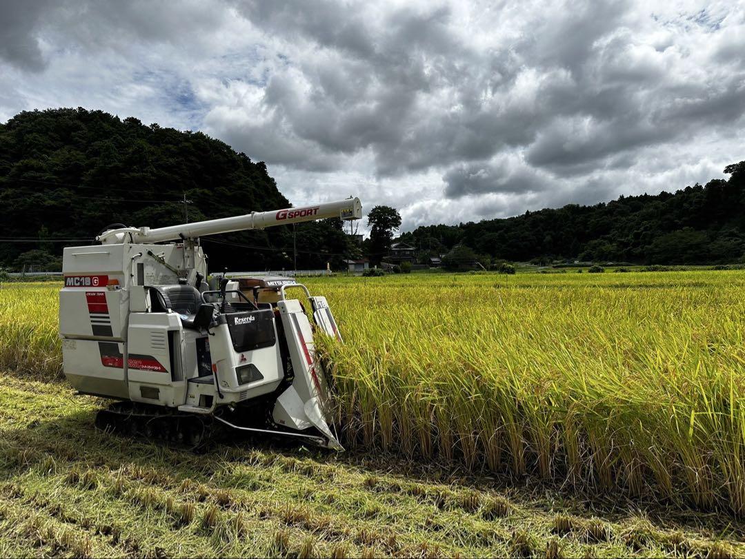 新米 ３０キロ 白米 キヌヒカリ　滋賀県産 2024年 環境こだわり米減農薬栽培
