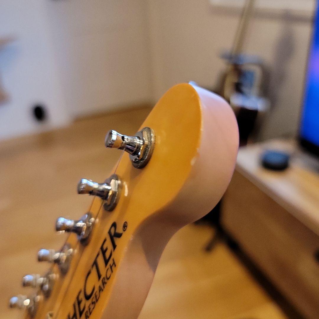 ギター Schecter tk-pa-ls