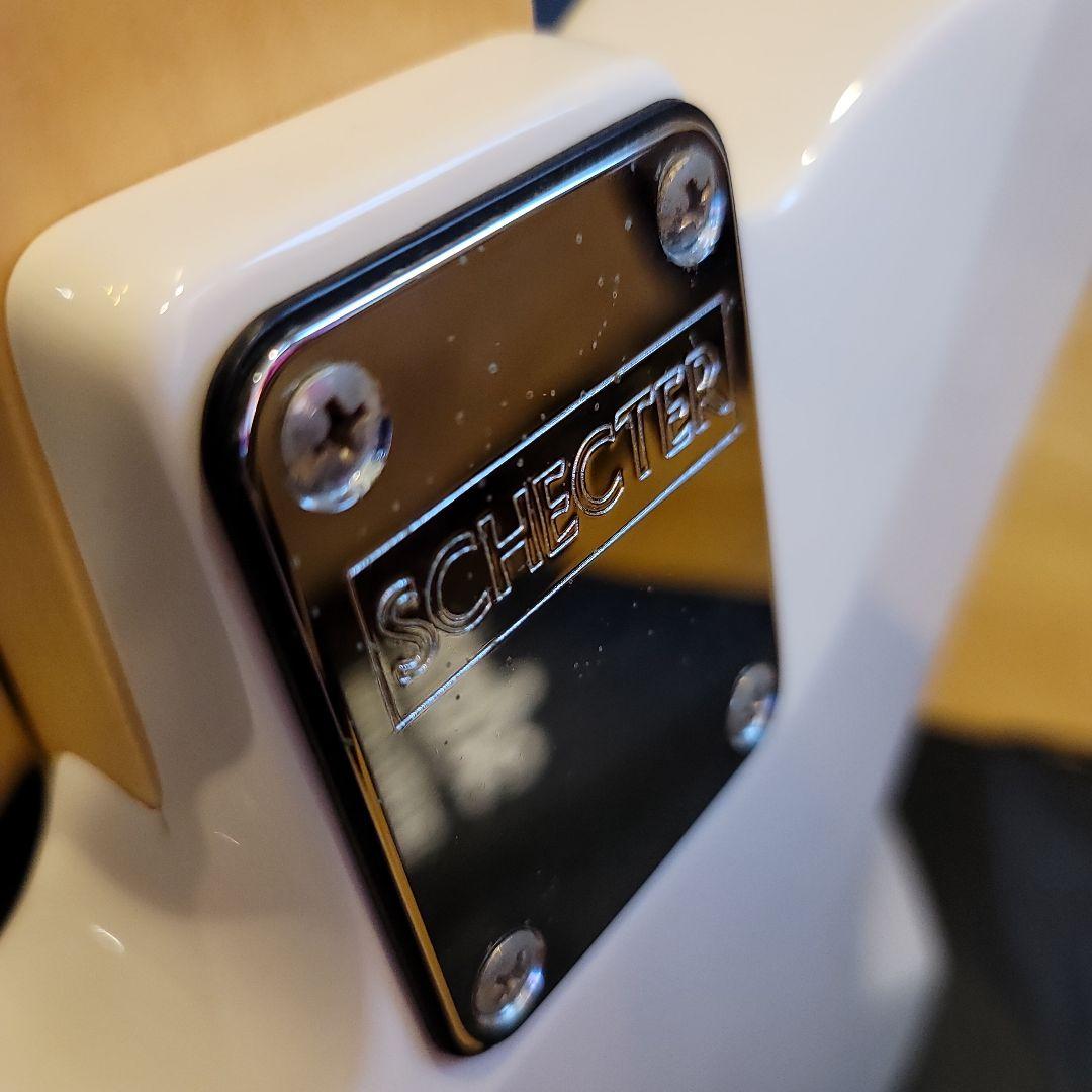 ギター Schecter tk-pa-ls