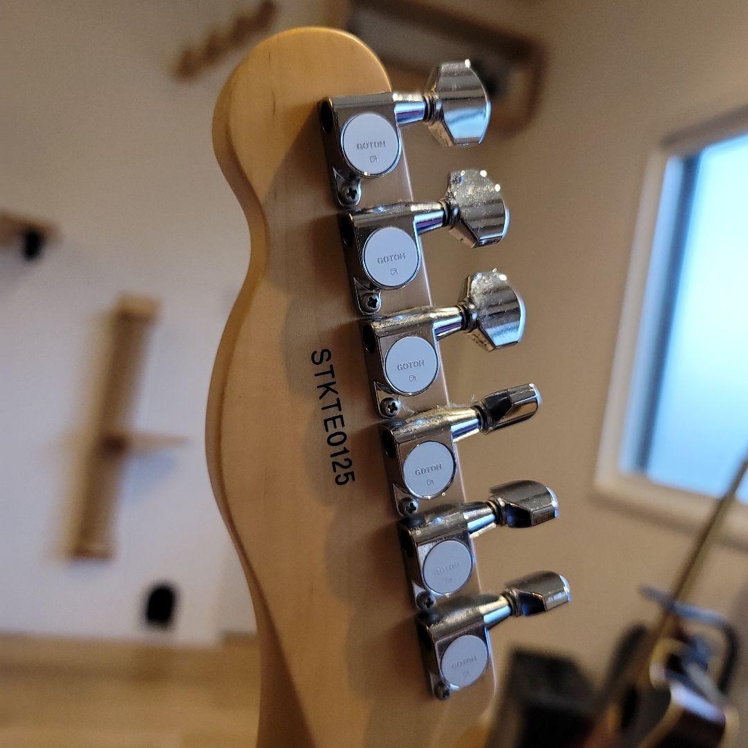 ギター Schecter tk-pa-ls