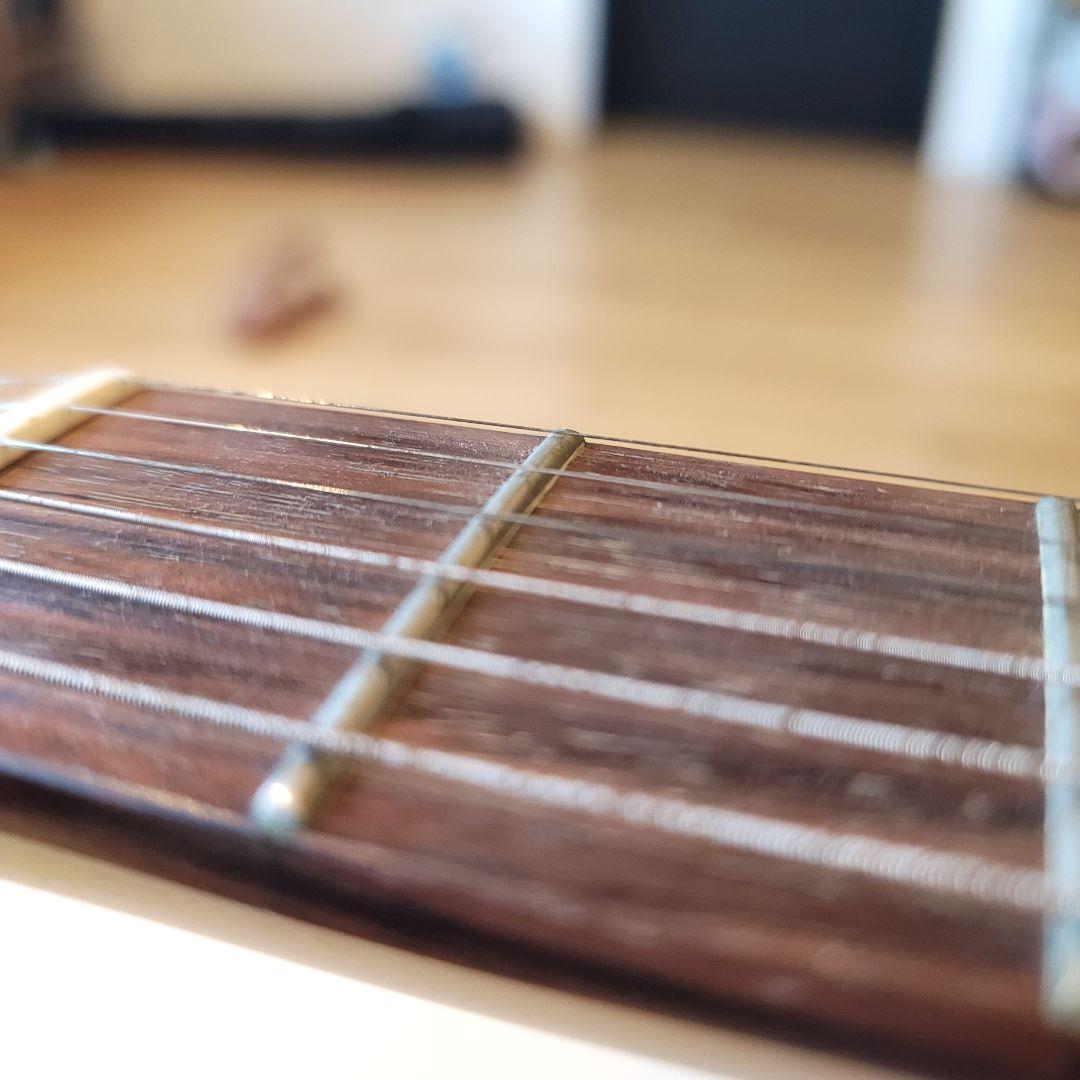 ギター Schecter tk-pa-ls
