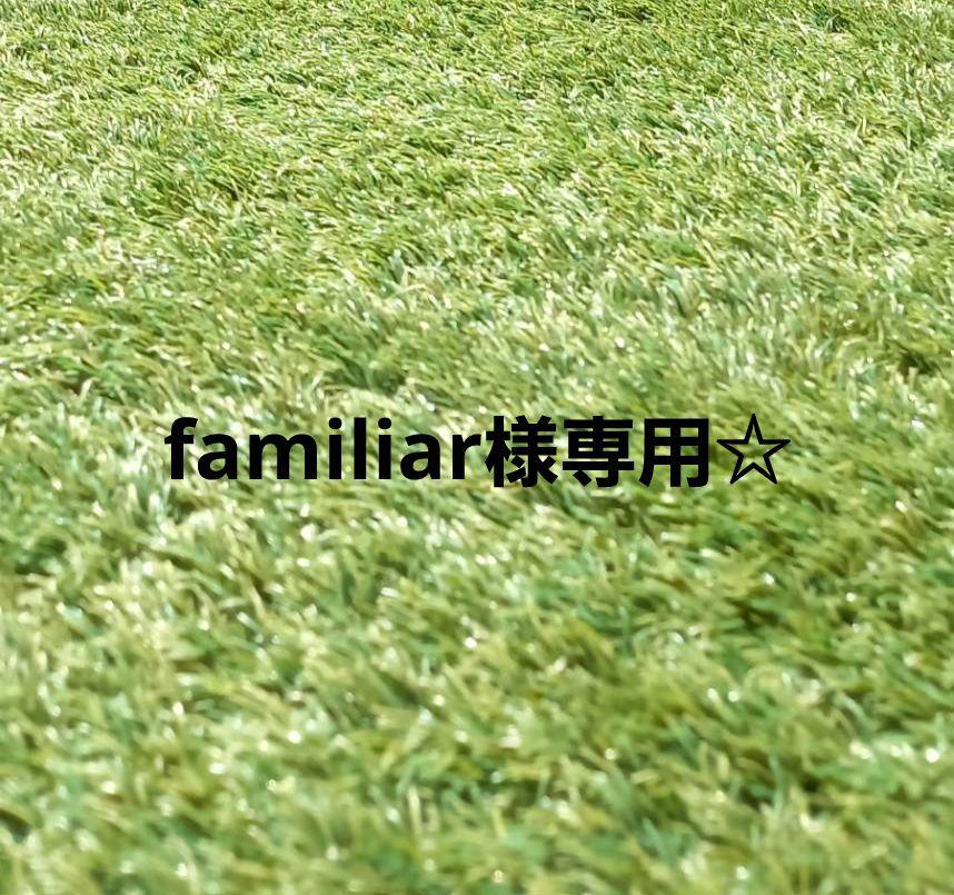 familiar様　専用☆