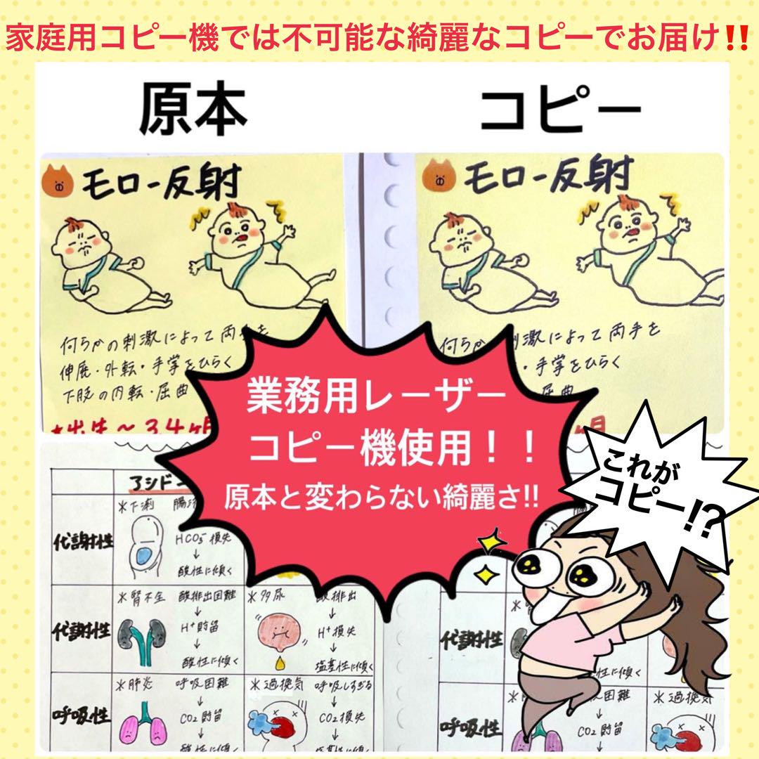 激安‼️ 看護師国家試験まとめノート 付箋ノート 国試 解剖生理学 看護学生