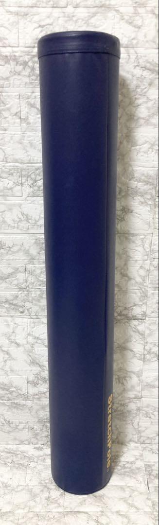 【美品】LPN社製 ストレッチポール (R) EXシリーズ 正規品