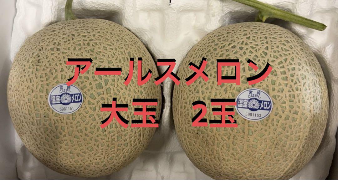 大玉　アールスメロン　5玉 大玉 九州産アールスメロン 5L2玉 - メルカリ